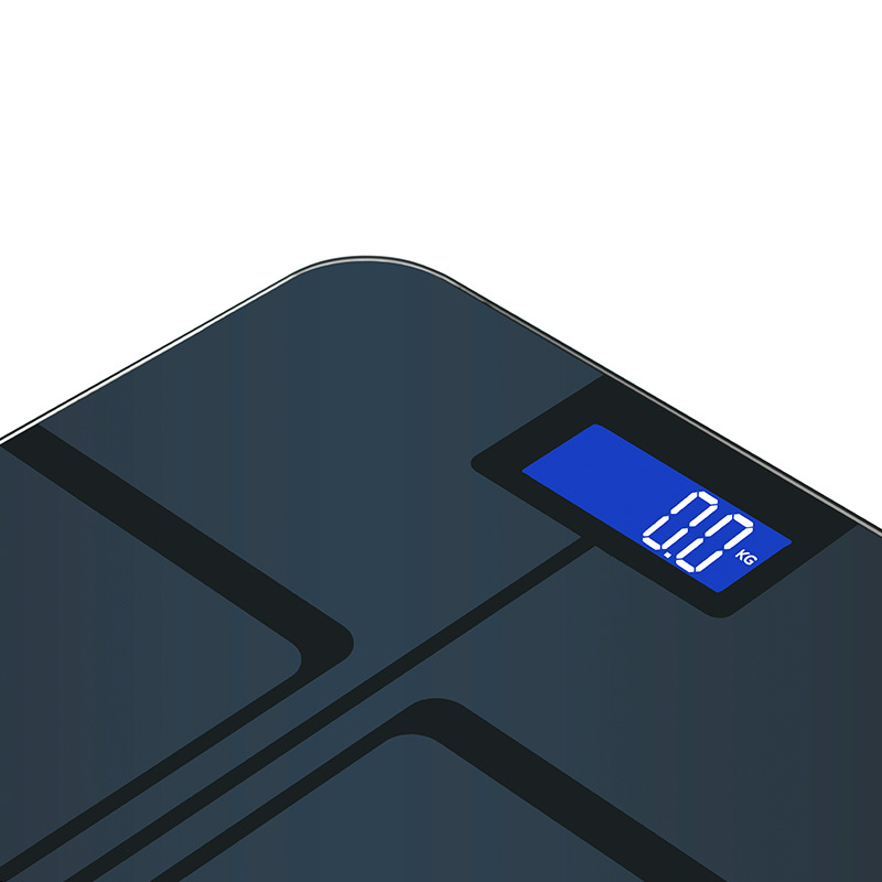 Smart Bluetooth Body Fat Scale - đánh giá và giá Home Bathroom Scales