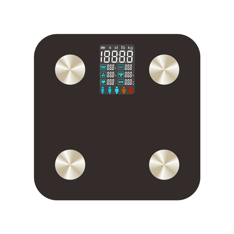 Smart Bluetooth Body Fat Scale - đánh giá và giá Home Bathroom Scales
