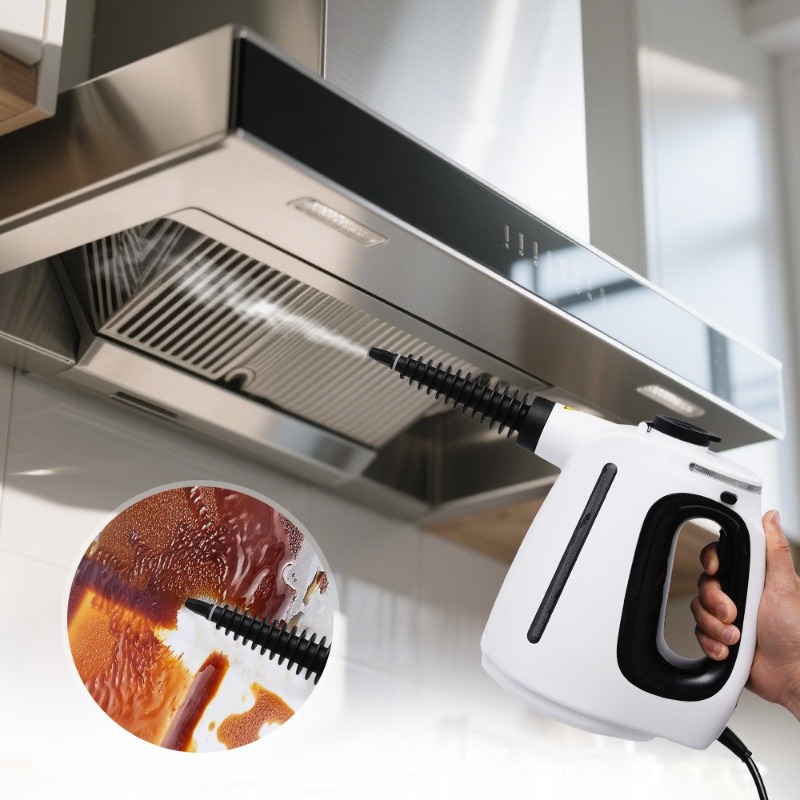 Multifunctional Handheld Steam - đánh giá và giá Home Bathroom Cleaning
