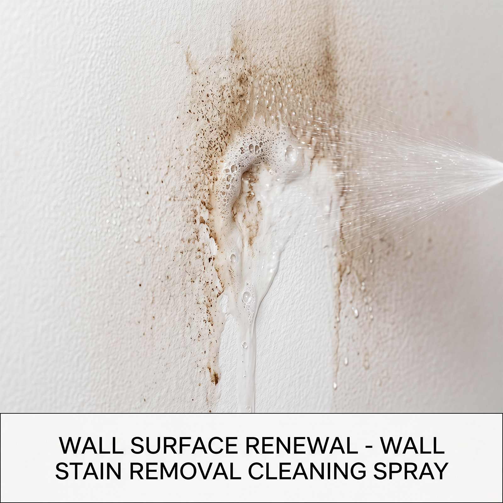Mildew Remover Wall Spray Clea - đánh giá và giá Home Bathroom Cleaning
